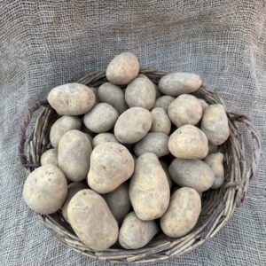 Kartoffeln festkochend