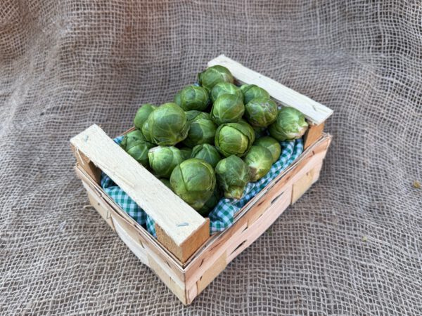 Rosenkohl