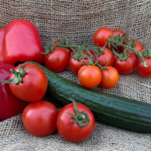 Tomaten