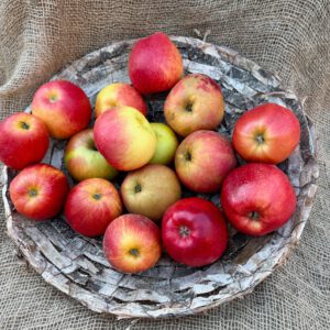 Äpfel Sorte Pinova