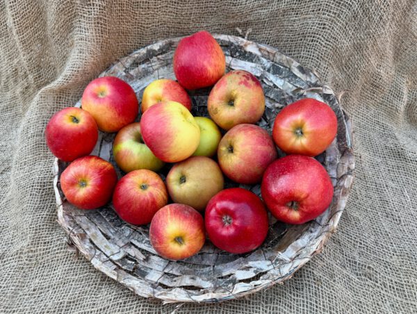 Äpfel Brettacher