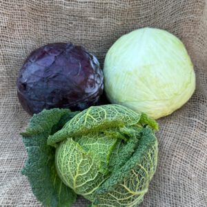 Weißkraut
